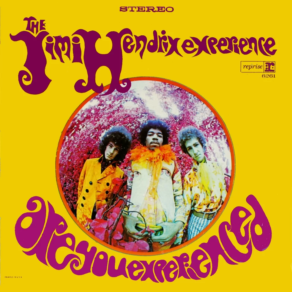 Jimmy Hendrix Are You Experienced