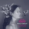 molly-healey-gravity